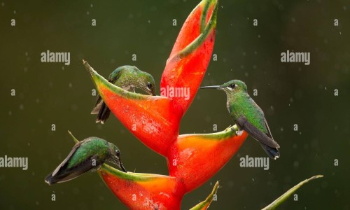 食用过期食用油的危害-【过期食用油有什么有害物质】过期的食用油会食物中毒吗 - 食用过期食物油对人体危害网
